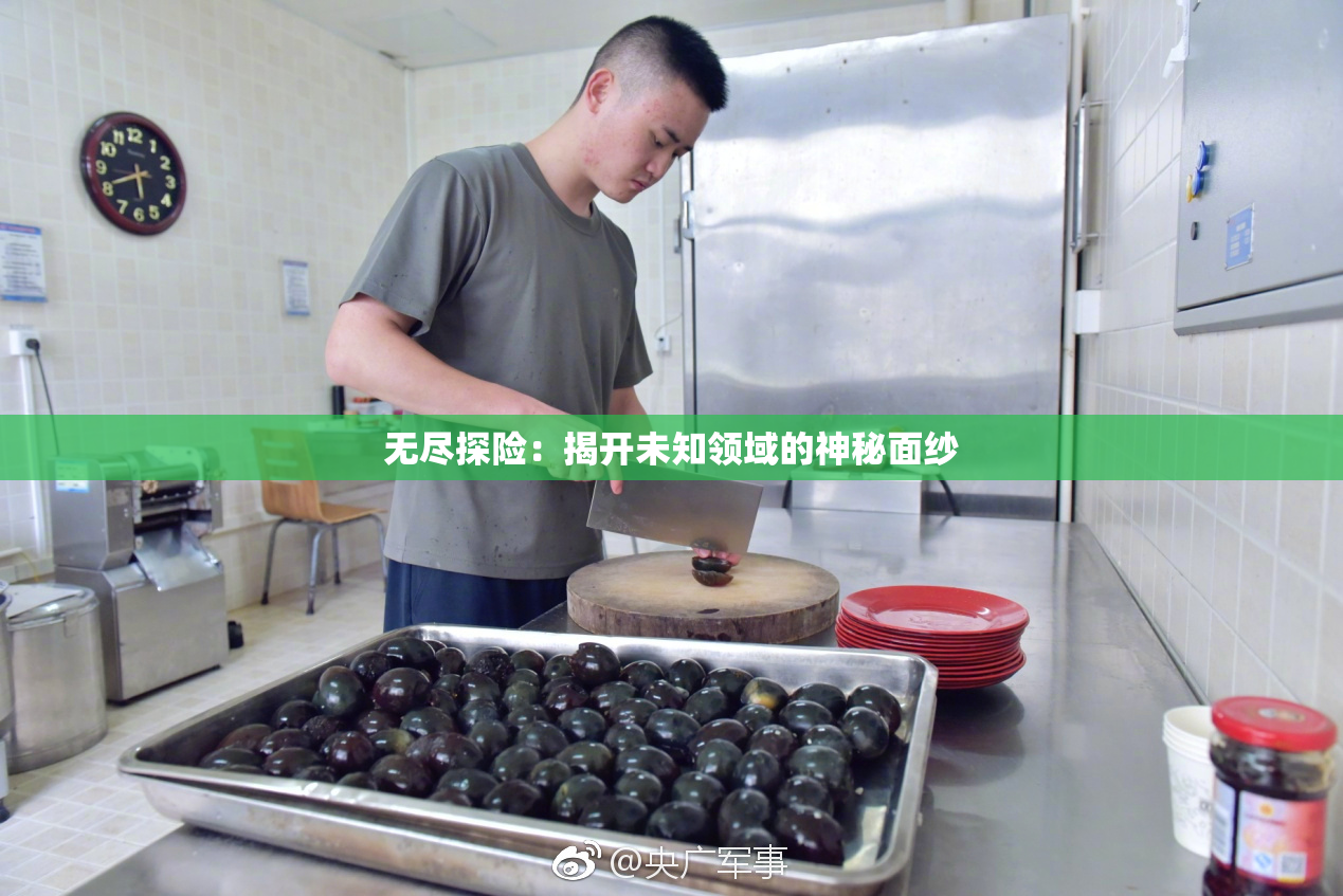 无尽探险：揭开未知领域的神秘面纱