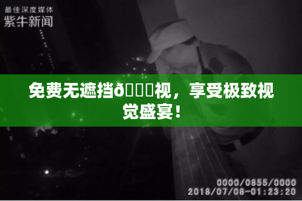 免费无遮挡🔞视，享受极致视觉盛宴！