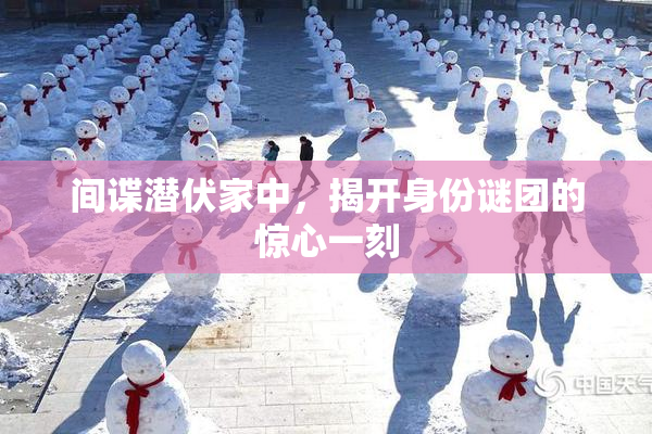 间谍潜伏家中，揭开身份谜团的惊心一刻