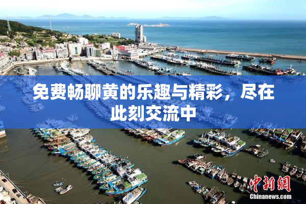 免费畅聊黄的乐趣与精彩，尽在此刻交流中