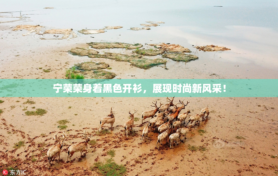 宁荣荣身着黑色开衫，展现时尚新风采！