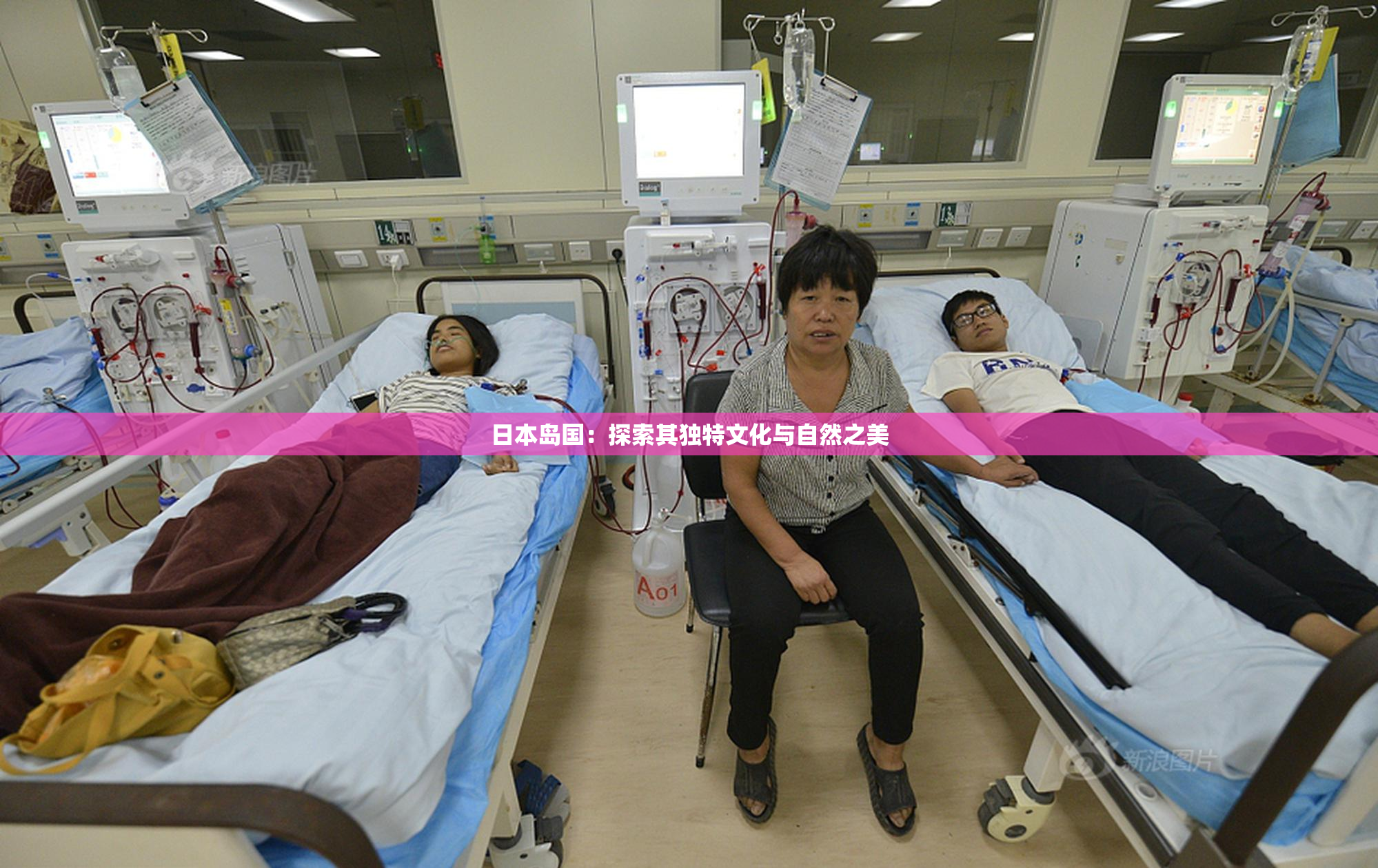 日本岛国：探索其独特文化与自然之美