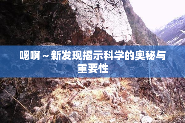 嗯啊～新发现揭示科学的奥秘与重要性