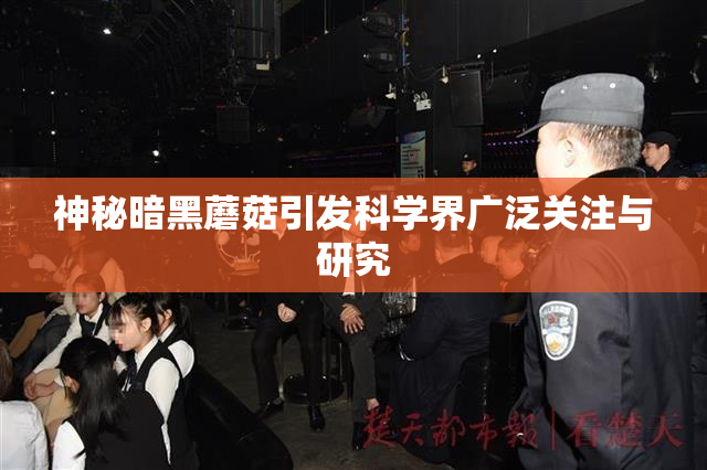 神秘暗黑蘑菇引发科学界广泛关注与研究