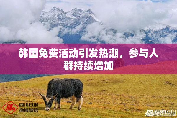 韩国免费活动引发热潮，参与人群持续增加