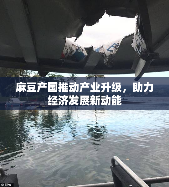 麻豆产国推动产业升级，助力经济发展新动能