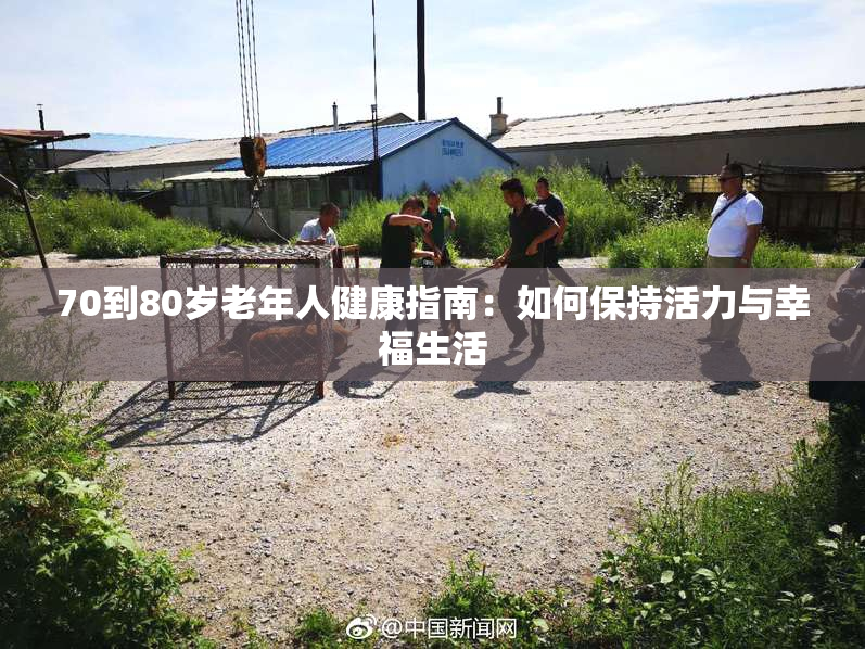 70到80岁老年人健康指南：如何保持活力与幸福生活