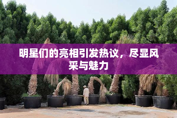 明星们的亮相引发热议，尽显风采与魅力