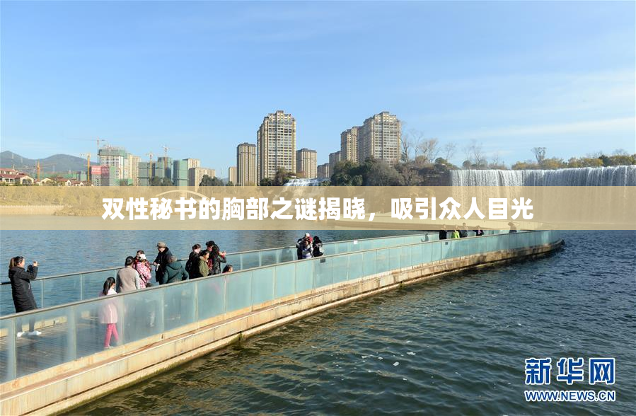 双性秘书的胸部之谜揭晓，吸引众人目光