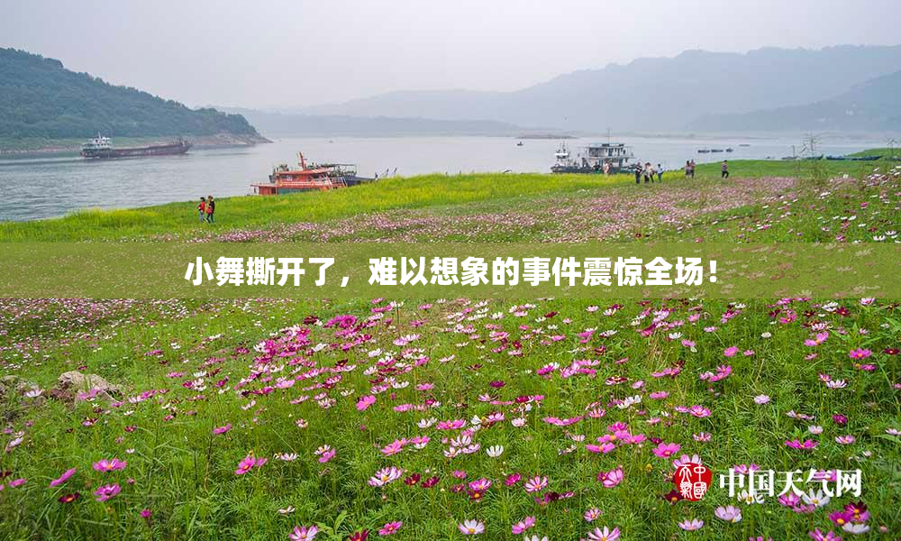 小舞撕开了，难以想象的事件震惊全场！