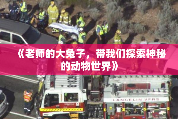 《老师的大兔子，带我们探索神秘的动物世界》