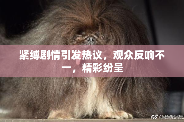 紧缚剧情引发热议，观众反响不一，精彩纷呈