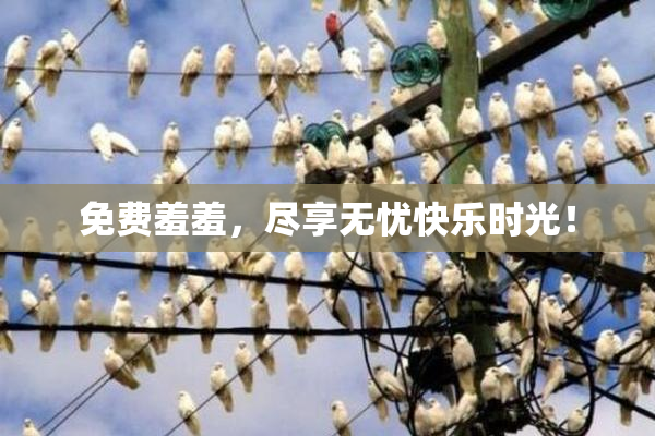免费羞羞，尽享无忧快乐时光！