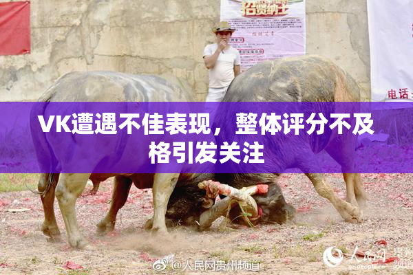 VK遭遇不佳表现，整体评分不及格引发关注