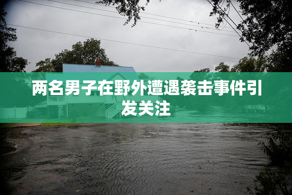 两名男子在野外遭遇袭击事件引发关注