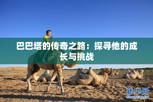 巴巴塔的传奇之路：探寻他的成长与挑战