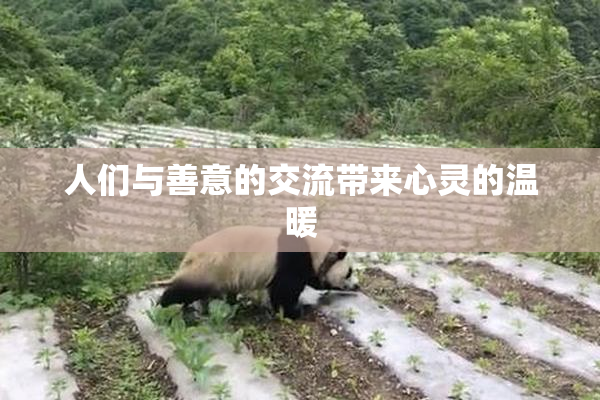 人们与善意的交流带来心灵的温暖