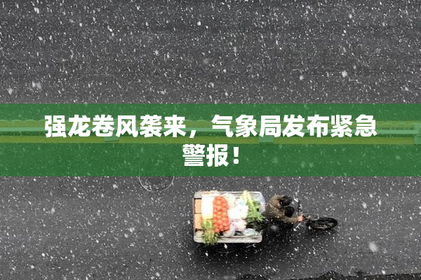 强龙卷风袭来，气象局发布紧急警报！