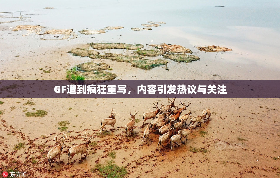 GF遭到疯狂重写，内容引发热议与关注