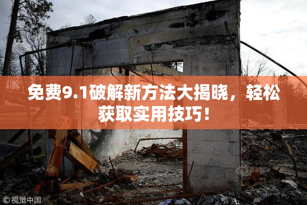 免费9.1破解新方法大揭晓，轻松获取实用技巧！