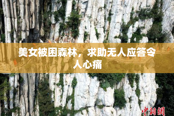 美女被困森林，求助无人应答令人心痛