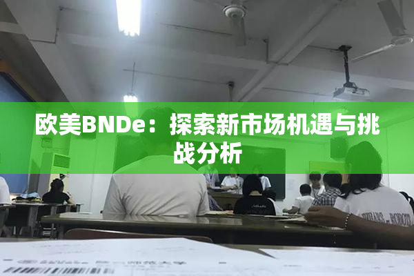欧美BNDe：探索新市场机遇与挑战分析