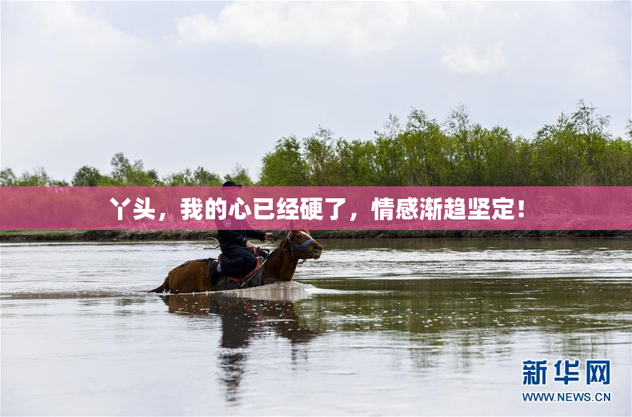 丫头，我的心已经硬了，情感渐趋坚定！
