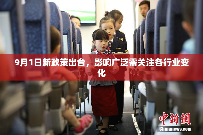 9月1日新政策出台，影响广泛需关注各行业变化