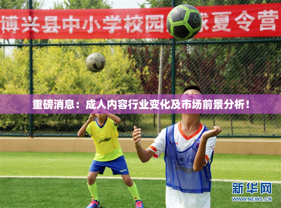 重磅消息：成人内容行业变化及市场前景分析！