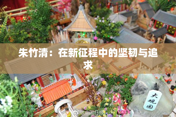 朱竹清：在新征程中的坚韧与追求