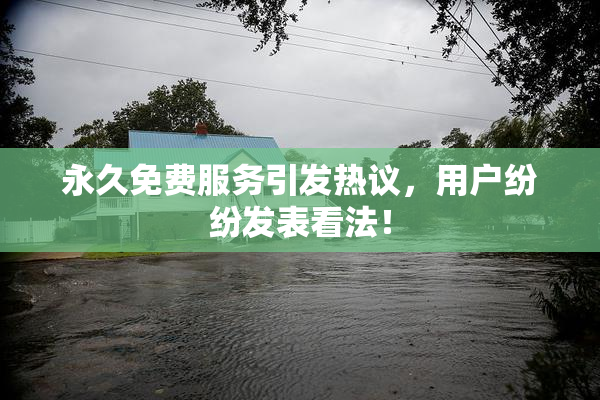 永久免费服务引发热议，用户纷纷发表看法！