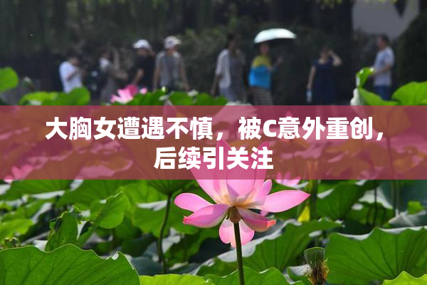 大胸女遭遇不慎，被C意外重创，后续引关注