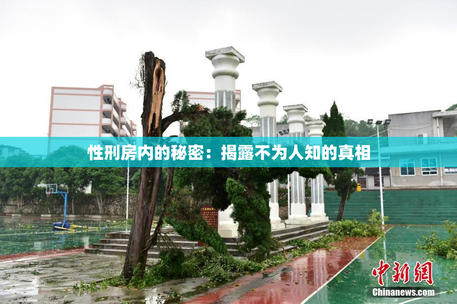 性刑房内的秘密：揭露不为人知的真相