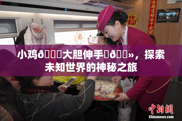 小鸡🐔大胆伸手‌🐻，探索未知世界的神秘之旅