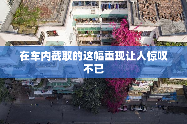 在车内截取的这幅重现让人惊叹不已