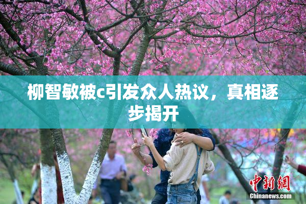柳智敏被c引发众人热议，真相逐步揭开