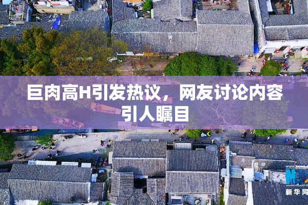 巨肉高H引发热议，网友讨论内容引人瞩目