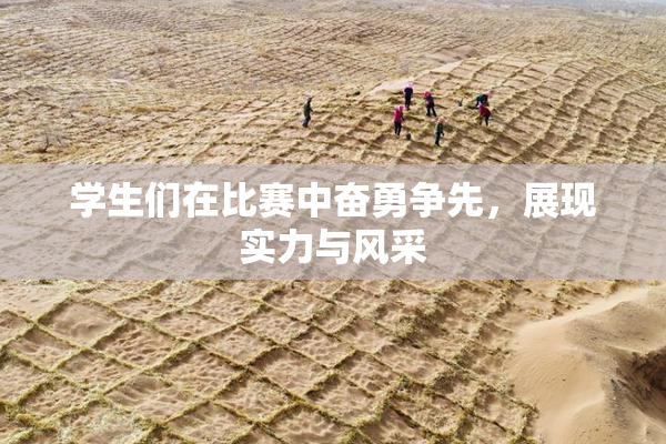 学生们在比赛中奋勇争先，展现实力与风采