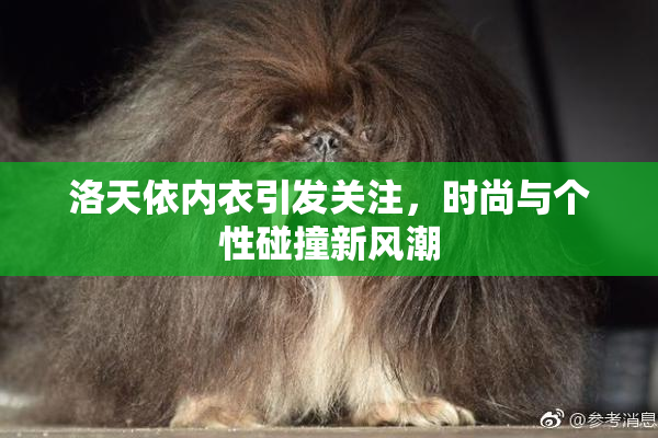 洛天依内衣引发关注，时尚与个性碰撞新风潮