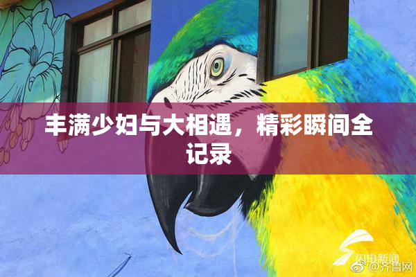 丰满少妇与大相遇，精彩瞬间全记录