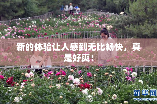 新的体验让人感到无比畅快，真是好爽！