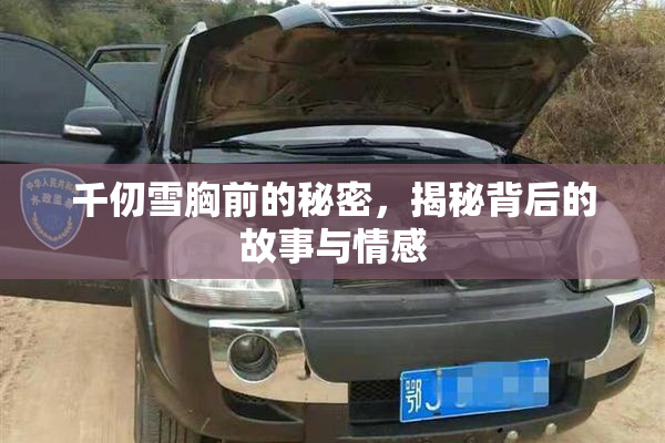 千仞雪胸前的秘密，揭秘背后的故事与情感