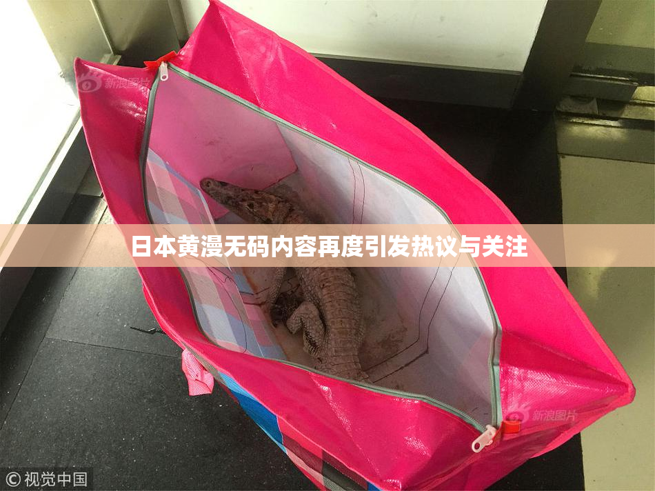 日本黄漫无码内容再度引发热议与关注