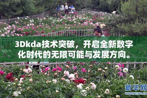 3Dkda技术突破，开启全新数字化时代的无限可能与发展方向。