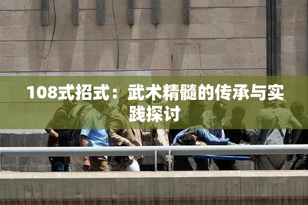 108式招式：武术精髓的传承与实践探讨