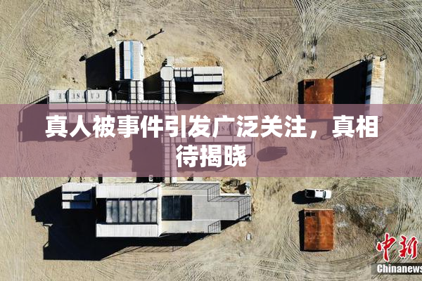 真人被事件引发广泛关注，真相待揭晓