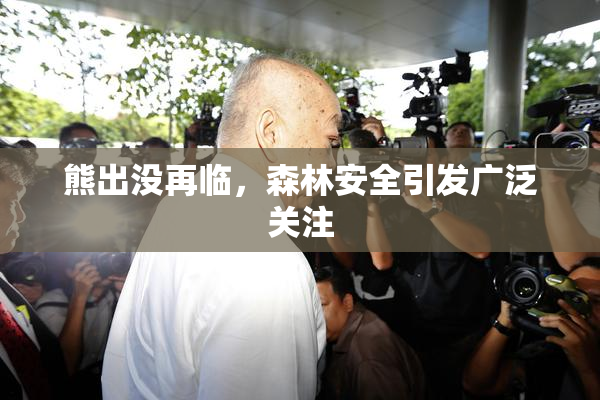 熊出没再临，森林安全引发广泛关注