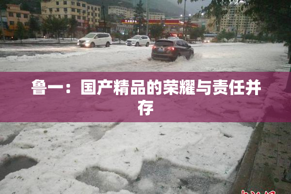 鲁一：国产精品的荣耀与责任并存