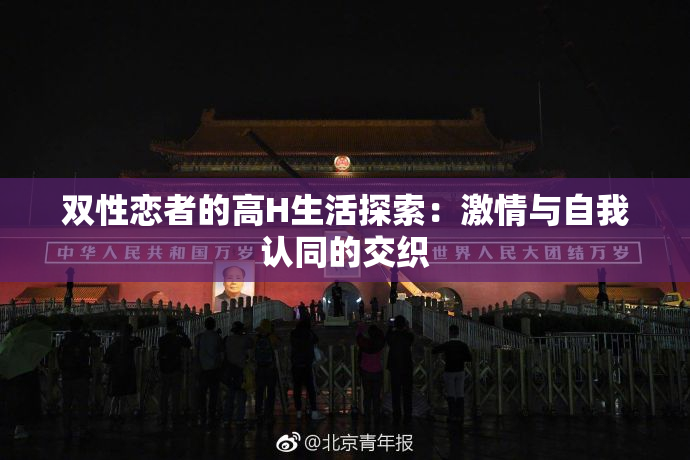 双性恋者的高H生活探索：激情与自我认同的交织