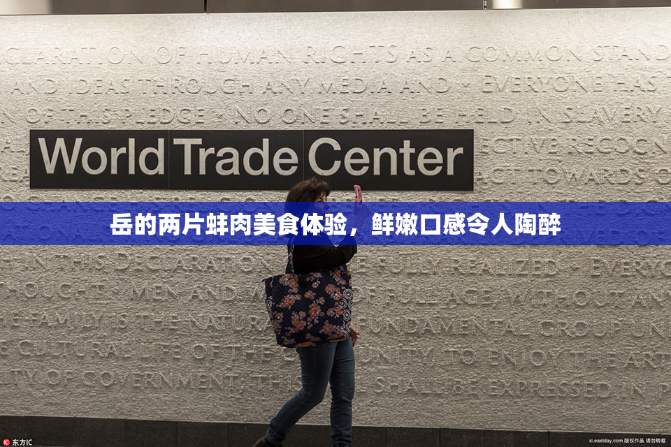 岳的两片蚌肉美食体验，鲜嫩口感令人陶醉